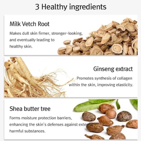 Pyunkang Yul PKY Eye Cream - Deep Nourishing Eye Moisturizer Cream, Healthy Ingredients from Shea Butter, Saponin, Isoflavonoid for Vitality, Elasticity, Stocking Filler -1Day for 1Pack x 50pcs