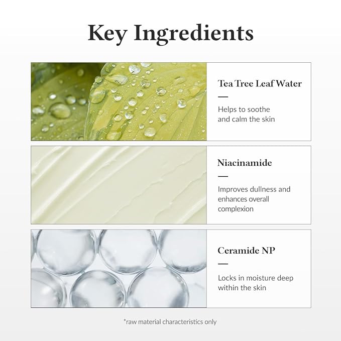 Dr.Althea 345 Relief Cream | Moisturizer for Soothing Recovery and Blemish Care with Tea Tree Leaf Water & Niacinamide | Korean Vegan Skin Care for All Skin Types, 1.69 Fl Oz (Ver.2 - Pack of 1)