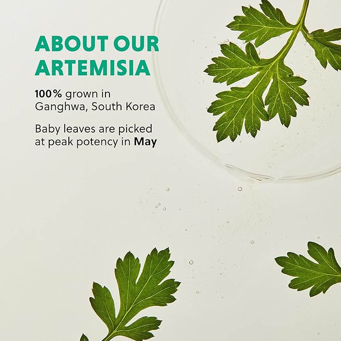 Hanyul Artemisia Soothing Gel Cream Moisturizer with Centella Asiatica and Niacinamide | Calming, Cooling, Hydrating, Vegan, Non-Comedogenic, Suitable for Sensitive & Acne-Prone Skin, 1.86 fl. oz.