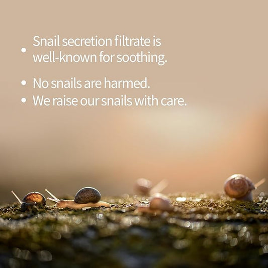 BENTON Snail Bee High Content Steam Cream - Snail Mucin Moisturizer with Bee Venom & Niacinamide | Korean Skin Care Products For Dry & Sensitive Skin | Hydrating Face For Women (1.76 oz.)