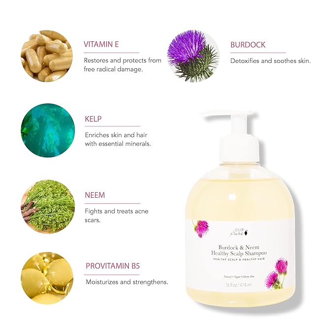 100% PURE Burdock & Neem Healthy Scalp Clarifying Shampoo Moisturizing Detox with Rose Hydrosol Replenishing Cleanser for Dry, Itchy, Flaky Scalp for Women & Men - 16 Fl Oz