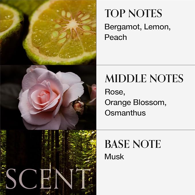 MONCLOS Velvet Shampoo (16.9 fl oz) - Volume Shampoo for Fine and Thinning Hair. Sulfate-Free, Peptide-Infused Formula for Soft, Shiny Hair, and Root Volumizing