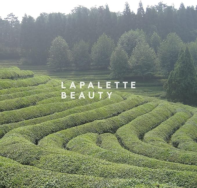 LAPALETTE Calming Green Turnover Toner | Green Tea | Hydrating & Moisturizing | Gentle Peeling with Natural Aha, Bha & PHA Ingredients | Korean Skincare 6.75fl.oz